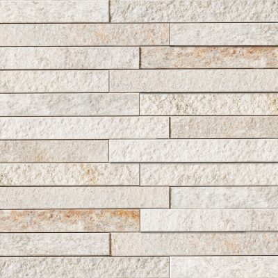 ECP-2520NET_DNT1_White Mix