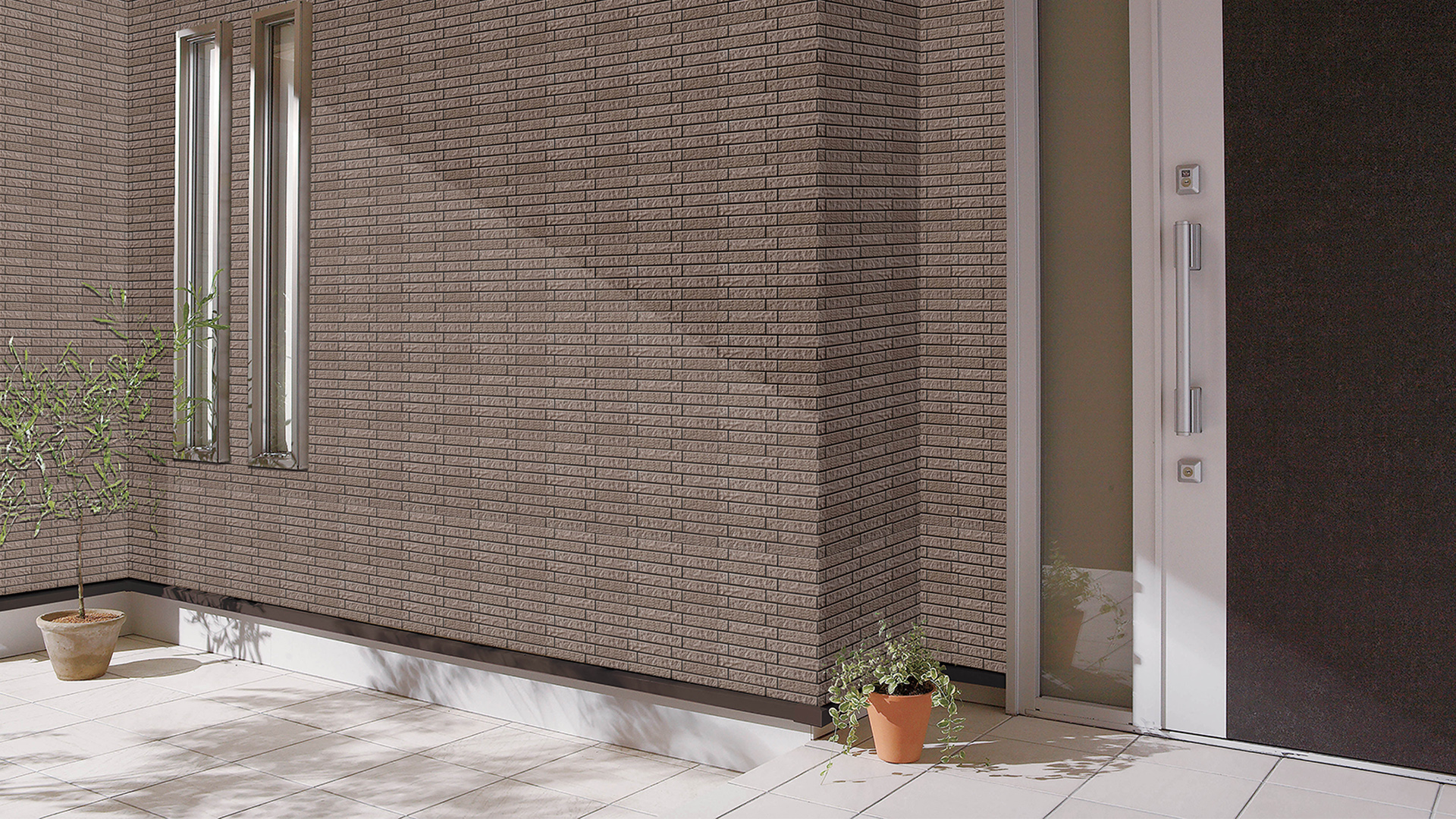 CELAVIOGRAN A - Image 2