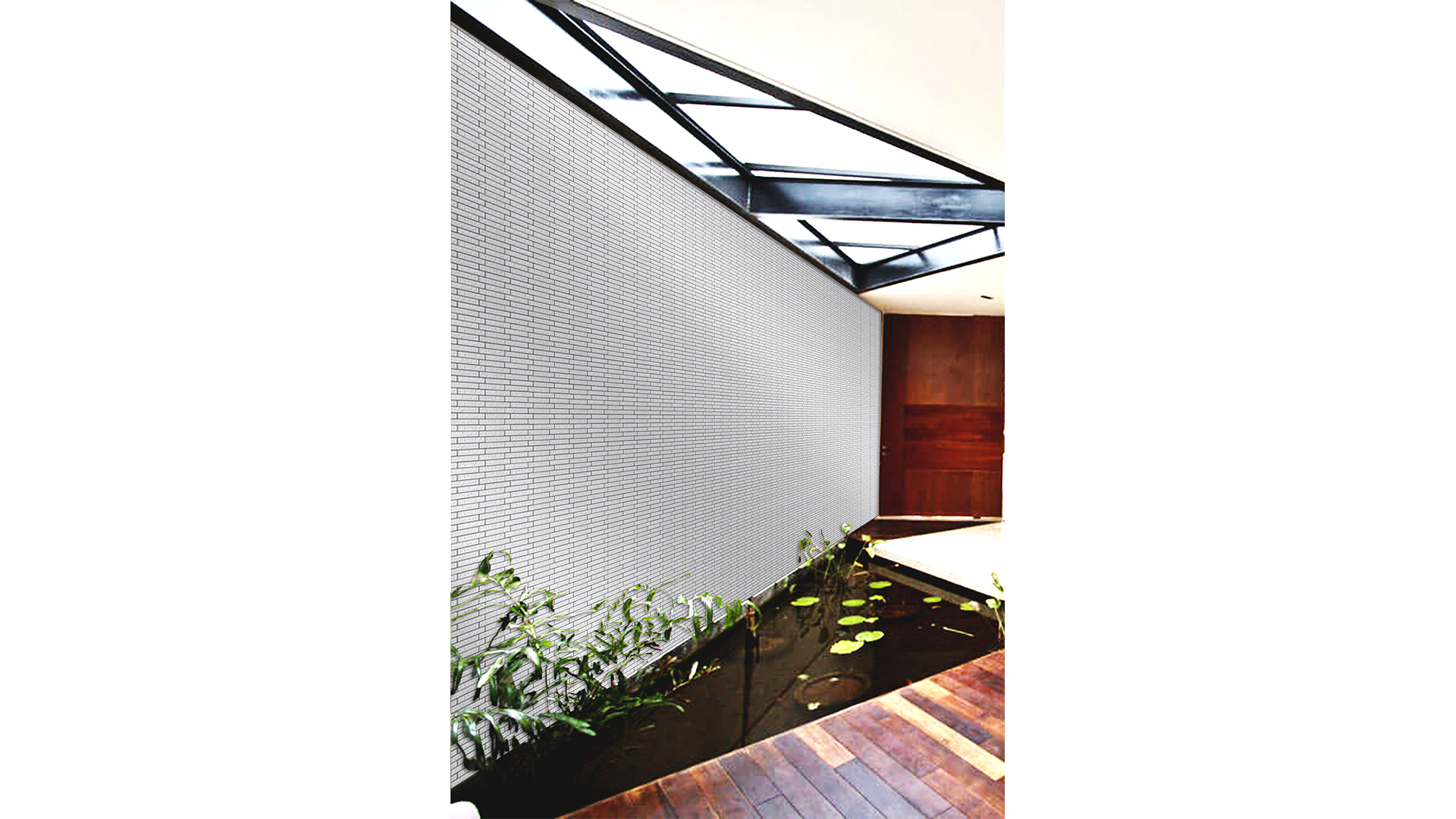 CELAVIOGRAN A - Image 3