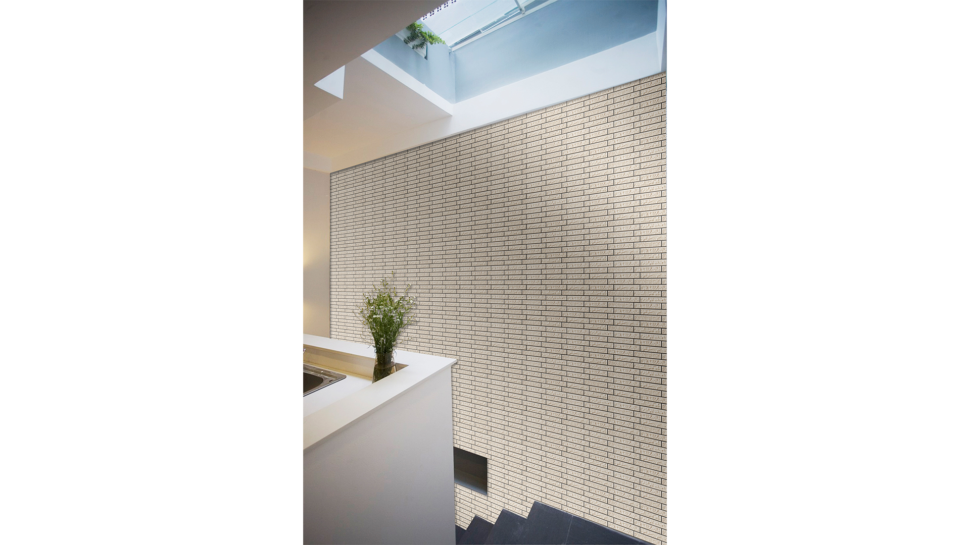 CELAVIOGRAN A - Image 4