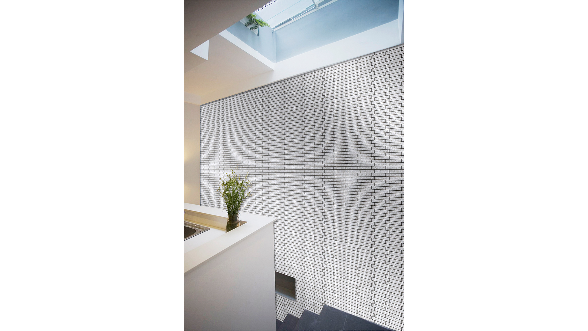 CELAVIOGRAN A - Image 5