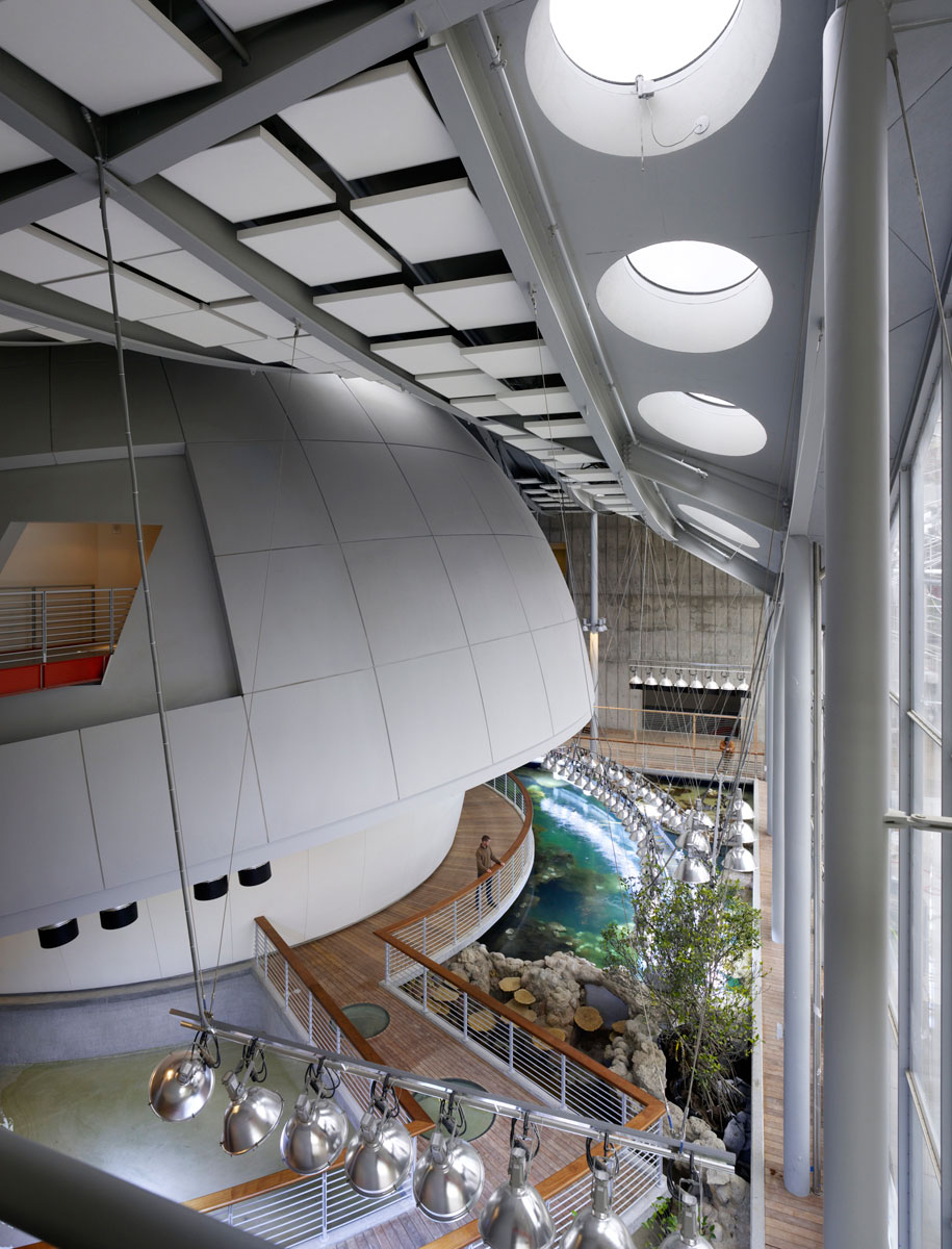 California Academy of Sciences