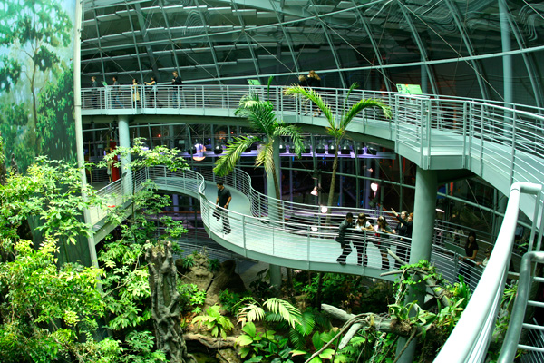 California Academy of Sciences