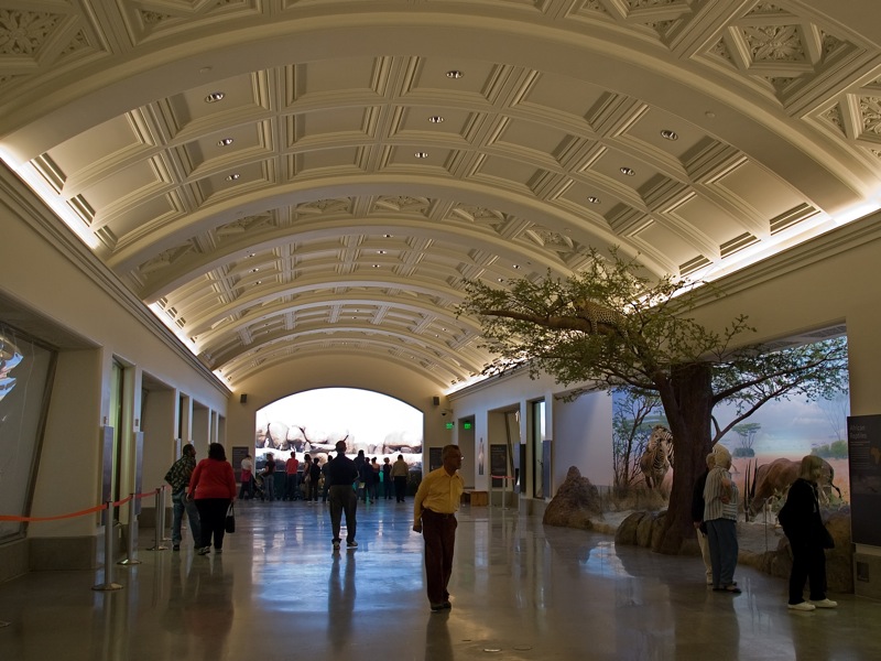 California Academy of Sciences